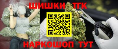 сатива Коммунар