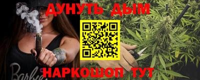 сатива Коммунар